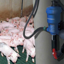 Dosatron Tierzucht