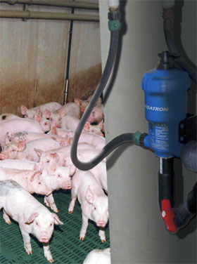 DOSATRON Tierzucht