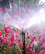 Mikrosprinkler